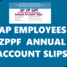 ZPPF BALANCE  SLIPS