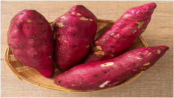 Sweet Potato Benefits: చిలగడదుంప పోషకాల నిధి.. రోజూ తింటే ఆ సమస్యలే ఉండవు !