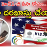 How To apply For H1B Visa : హెచ్‌1బీ వీసా కోసం దరఖాస్తు ఎలా చేసుకోవాలి..? కావాల్సిన డాక్యుమెంట్స్ ఏంటి?