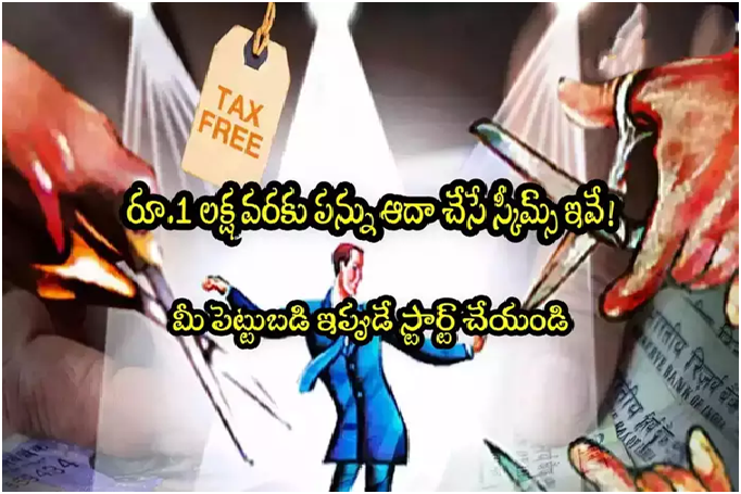 Tax Saving: రూ.1 లక్ష వరకు ట్యాక్స్ ఆదా చేసే స్కీమ్స్ ఇవే.. ఇన్వెస్ట్ చేయండిలా!