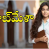 Job fair for youth: నిరుద్యోగ యువతకు జాబ్‌మేళా..!