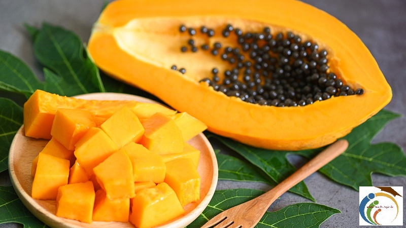 Papaya: బొప్పాయి తిన్న తర్వాత  ఈ ఆహారాలు తినకూడదు.. అవేంటంటే