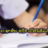 UCIL : యురేనియం కార్పొరేషన్‌లో 243 ఖాళీల భర్తీకి నోటిఫికేషన్‌.. పూర్తి వివరాలివే