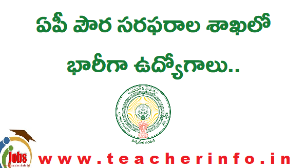 APSCSCL: ఏపీ పౌర సరఫరాల శాఖలో రాత పరీక్ష లేకుండా భారీగా ఉద్యోగాలు  ఎంపిక…