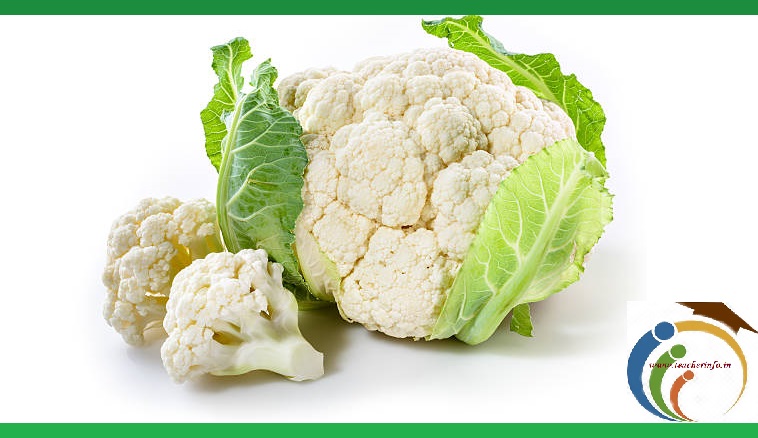 Benefits Of Cauliflower: చలికాలంలో క్యాలీఫ్లవర్ తినడం వల్ల కలిగే లాభాలు..  తప్పక తినాలి