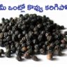 Weight Loss Tips: ఈ ఒక్కటి తిన్నారంటే మీ ఒంట్లో కొవ్వు నెయ్యి లా కరిగిపోతుంది..