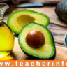 Avocado Oil for Skin: రాత్రి పడుకునే ముందు  ఈ నూనెను ముఖంపై రాస్తే స్కిన్ సమస్యలన్నీ దూరం!