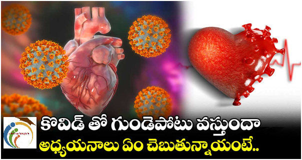 కొవిడ్ సోకిన వారికి  గుండెపోటు వస్తుందా.. అధ్యయనాలు ఏం చెబుతున్నాయంటే..