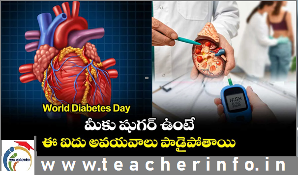 World Diabetes Day : మీకు షుగర్ ఉంటే.. ఈ ఐదు అవయవాలు డామేజ్ అవుతాయి