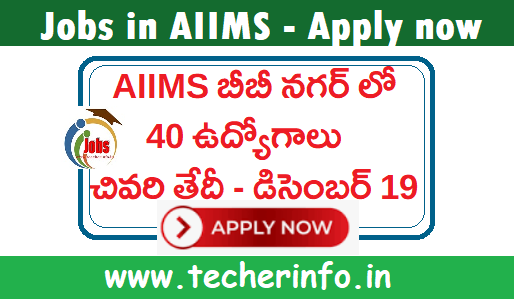 AIIMS: ఎయిమ్స్  లో ఉద్యోగాల భర్తీ.. డిసెంబర్19 దరఖాస్తులకు చివరి తేదీ