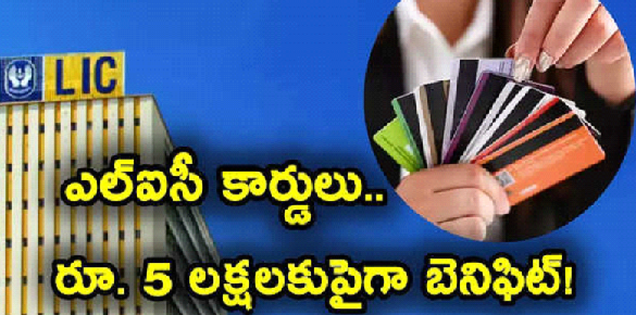 LIC Cards: ఎల్‌ఐసీ క్రెడిట్ కార్డులు వచ్చేశాయ్ .. ఎలాంటి ఫీజుల్లేవ్.. రూ. 5 లక్షల బెనిఫిట్స్..