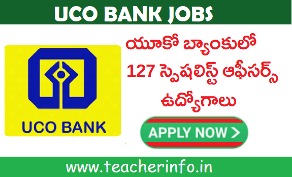 UCO Bank Jobs  యూకో బ్యాంకులో 127 స్పెషలిస్ట్ ఆఫీసర్స్ ఉద్యోగాల భర్తీకి నోటిఫికేషన్ విడుదల…