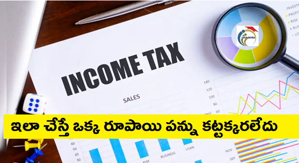 Tax Saving Tips: ఉద్యోగులకు 80 C కిందకు వచ్చే పన్ను అదా మార్గాలు ఇవే..