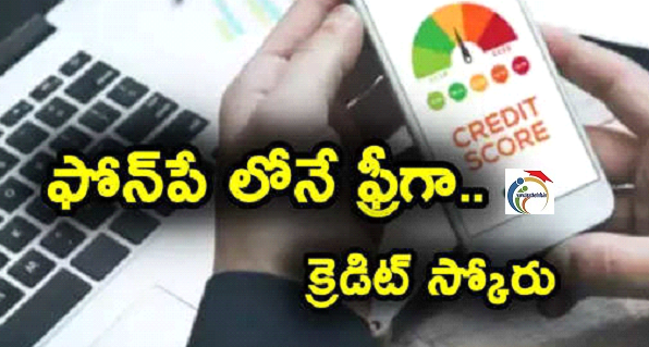 PhonePe: క్రెడిట్ స్కోర్ చెక్ చేసుకోవాలా …? ఫోన్‌పే లోనే ఇలా ఈజీగా చూసుకోవచ్చు..