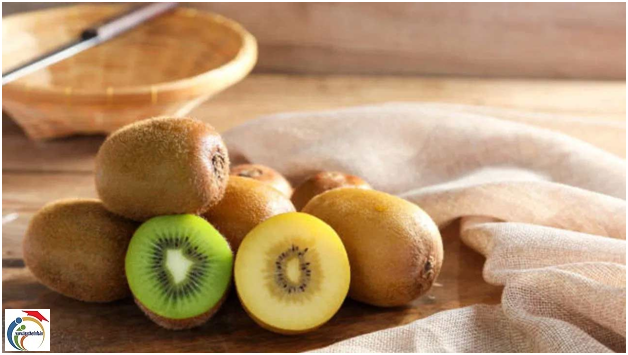 Kiwi Health Benefits: ప్రతి రోజూ కివి పండు తింటే ఏం జరుగుతుందో తెలుసా? వచ్చే మార్పులివే!