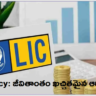 LIC Policy: LIC సూపర్ పాలసీ..జీవితాంతం ఖచ్చితమైన ఆదాయం…