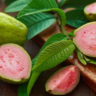 Pink Guava Benefits: ఈ రంగు జామ తింటే ఆ వ్యాధులు రానే రావు!