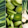 Spring Onions Benefits: చలి కాలం లో ఉల్లి కాడలతో ఎన్నో ప్రయోజనాలు.. తెలిస్తే ఆశ్చర్యపోవాలసిందే..!