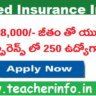 నెలకి 88,000/- జీతం తో యునైటెడ్ ఇన్సూరెన్స్ లో 250 ఉద్యోగాలు.. అర్హతలు ఇవే.