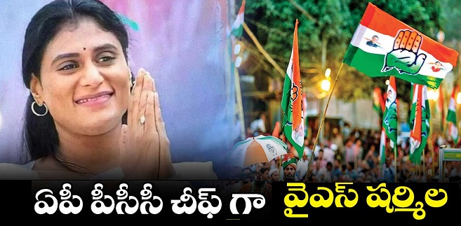 ఏపీ పీసీసీ చీఫ్‌గా వై.ఎస్. షర్మిల నియామకం