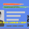 Blue Aadhar Card: బ్లూ ఆధార్ కార్డు అంటే ఏమిటి? ఎవరికిస్తారు? ఎలా దరఖాస్తు చేయాలి?