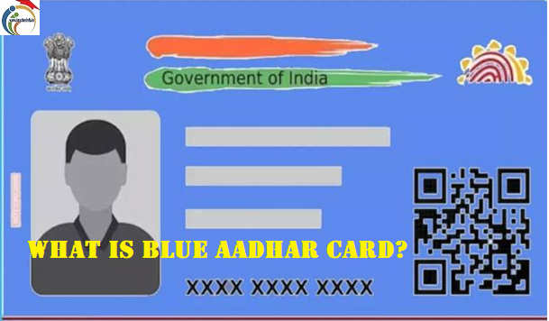 Blue Aadhar Card: బ్లూ ఆధార్ కార్డు అంటే ఏమిటి? ఎవరికిస్తారు? ఎలా దరఖాస్తు చేయాలి?