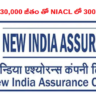 డిగ్రీ ఉంటె చాలు .. నెలకి 30,000 జీతం తో NIACL లో 300 ఉద్యోగాలు.. వివరాలు ఇవే..