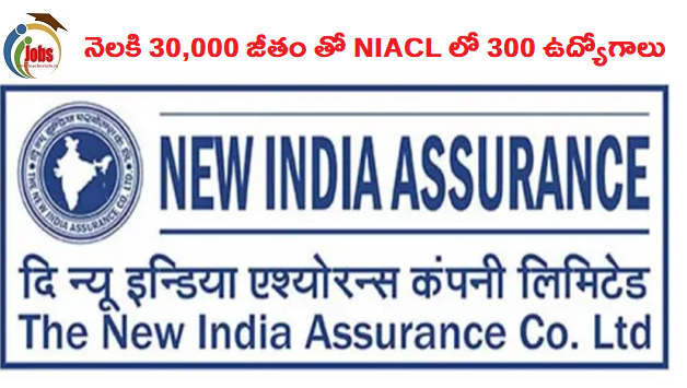 డిగ్రీ ఉంటె చాలు .. నెలకి 30,000 జీతం తో NIACL లో 300 ఉద్యోగాలు.. వివరాలు ఇవే..