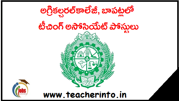 Agricultural College: అగ్రికల్చరల్‌ కాలేజీ, బాపట్లలో టీచింగ్‌ అసోసియేట్‌ పోస్టులు