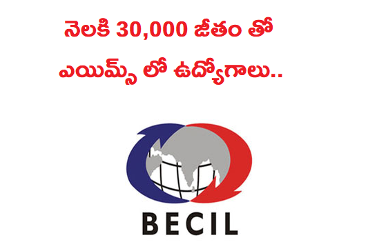 నెలకి 30,000/- జీతం తో ఎయిమ్స్ లో ఉద్యోగాలు.. అప్లై చేయండి