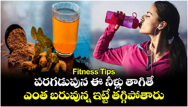 Fitness Tips: పరగడుపున ఈ నీళ్లు తాగితే.. ఎంత బరువున్న ఇట్టే తగ్గిపోతారు