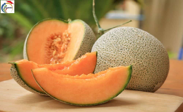 Muskmelon Benefits: కర్బూజ.. వేసవి లో దీని ఉపయోగాలు తెలుసా