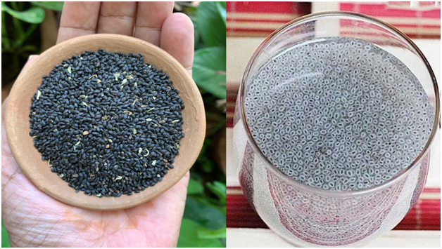 Sabja Seeds : వేసవి లో సబ్జా గింజలు తింటే కలిగే లాభాలు ఇవే.. తప్పక తెలుసుకోండి!