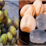 Ice Apple : వేసవిలో తాటి ముంజలను తింటే ఎన్ని ప్రయోజనాలో తెలుసా?