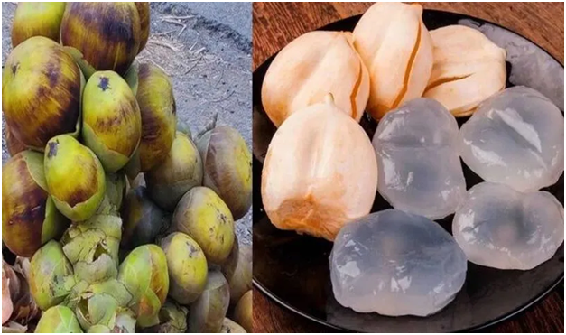 Ice Apple : వేసవిలో తాటి ముంజలను తింటే ఎన్ని ప్రయోజనాలో తెలుసా?