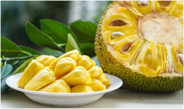 Jackfruit Benefits : పనసపండుతో ఎన్ని ఆరోగ్య ప్రయోజనాలో తెలుసా?