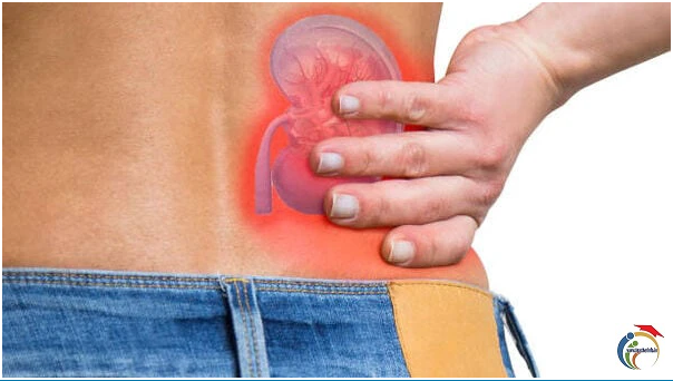 Kidney Damage Symptoms : మీ ముఖం చూసి.. మీ కిడ్నీ పాడైందో లేదో చెప్పొచ్చు